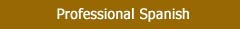 San Cristobal Language School:  Professional Spanish Programs