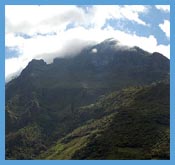 San Cristobal Language School -  Mountains - Spanish School Mexico Logo